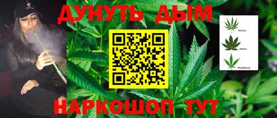 МДПВ Дубна