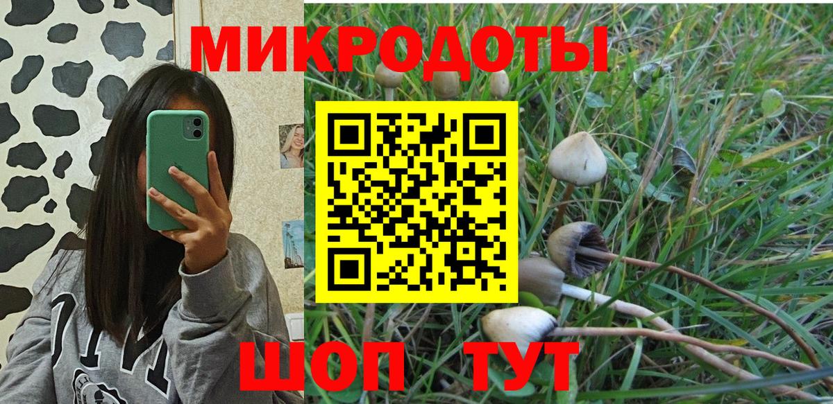 Псилоцибиновые грибы мухоморы Красногорск