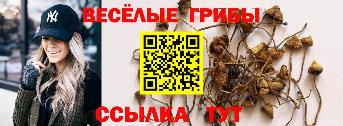 Галлюциногенные грибы Psilocybe  Вход с VPN  Красногорск  Псилоцибиновые грибы Cubensis 
